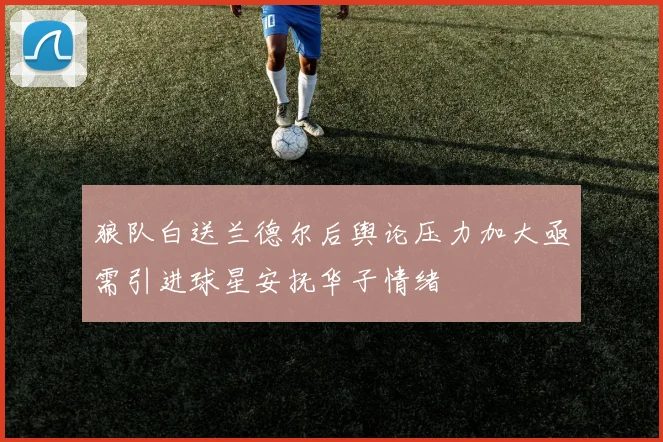 狼队白送兰德尔后舆论压力加大亟需引进球星安抚华子情绪